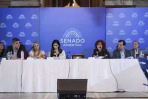 El Senado comenzó a debatir cambios a la Ley de Salud Mental