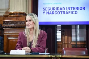 Seguridad Interior avanzó con cuatro proyectos en comisión