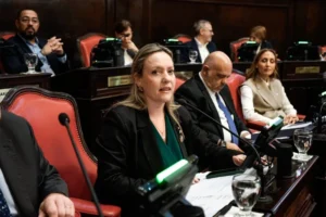 LLA arma un Consejo de la Magistratura a su medida.